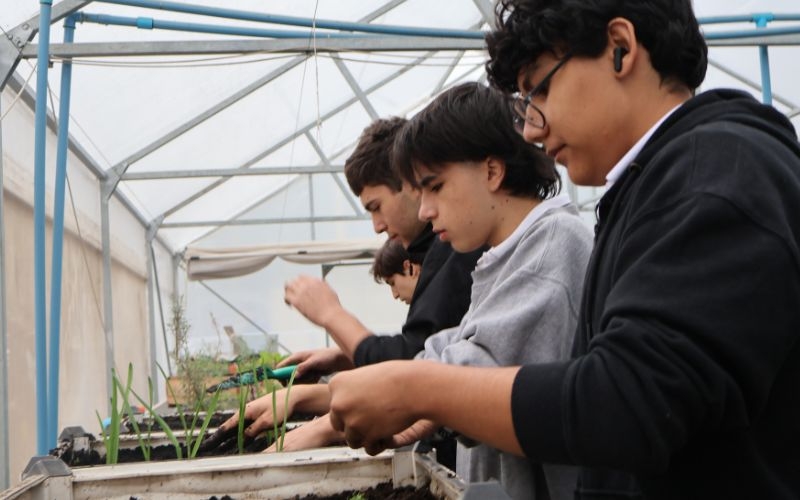 Estudiantes protagonizan entretenida jornada ecológica en Invernadero